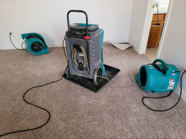 Best Emergency water damage restoration  in Moose Wilson Road, WY