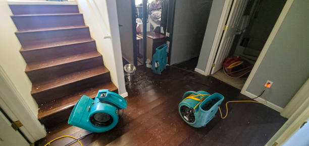 Professional Water damage restoration in WY