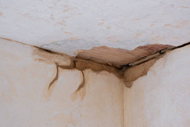 Best Professional water damage repair  in Moose Wilson Road, WY