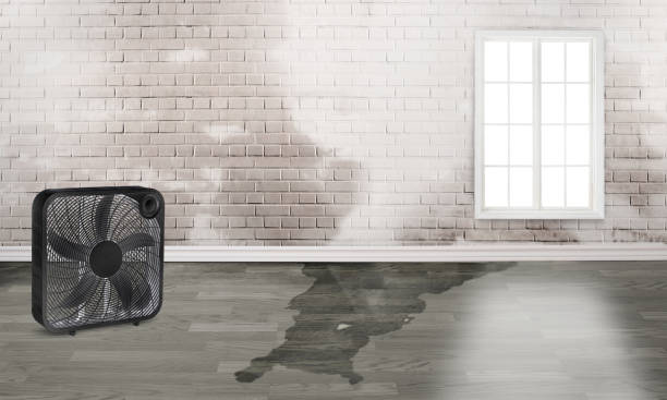 Local water damage restoration in WY