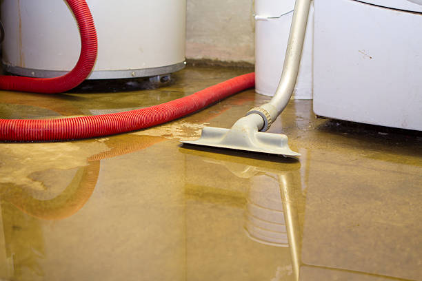 Best Professional water damage repair  in Moose Wilson Road, WY