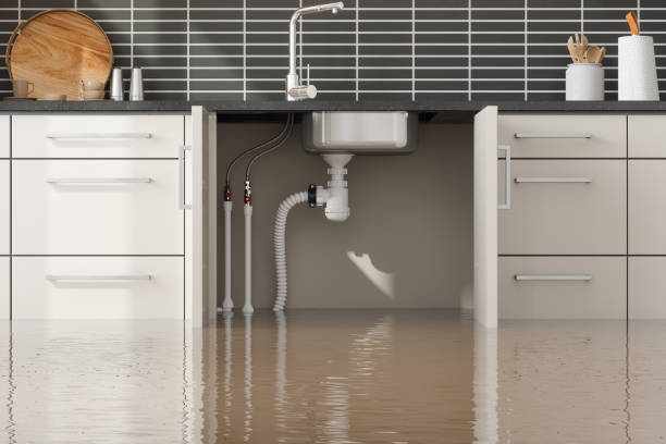 Best Residential water damage restoration  in Moose Wilson Road, WY